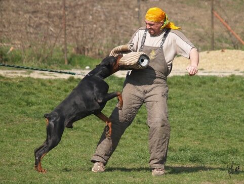 Santa Julf Efrat - training 4. 4. 2007